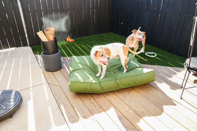 Designate a Play Zone