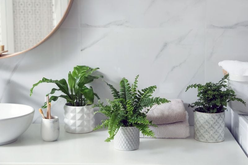 Integrate Live Plants