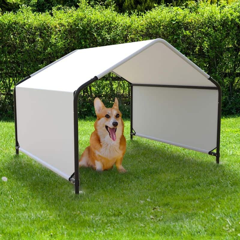 Provide Shade and Shelter