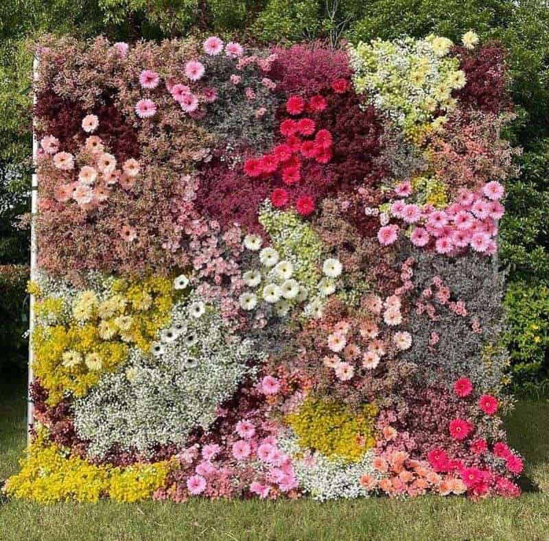 Choose the Right Flowers