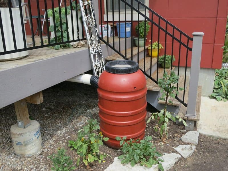 Rainwater Collection