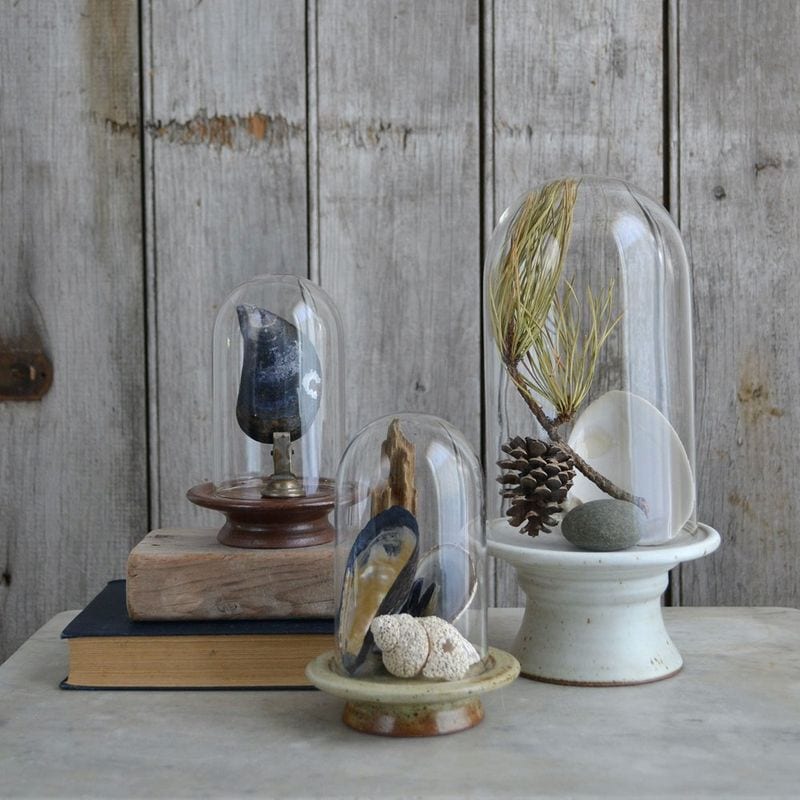 Glass Cloche Displays