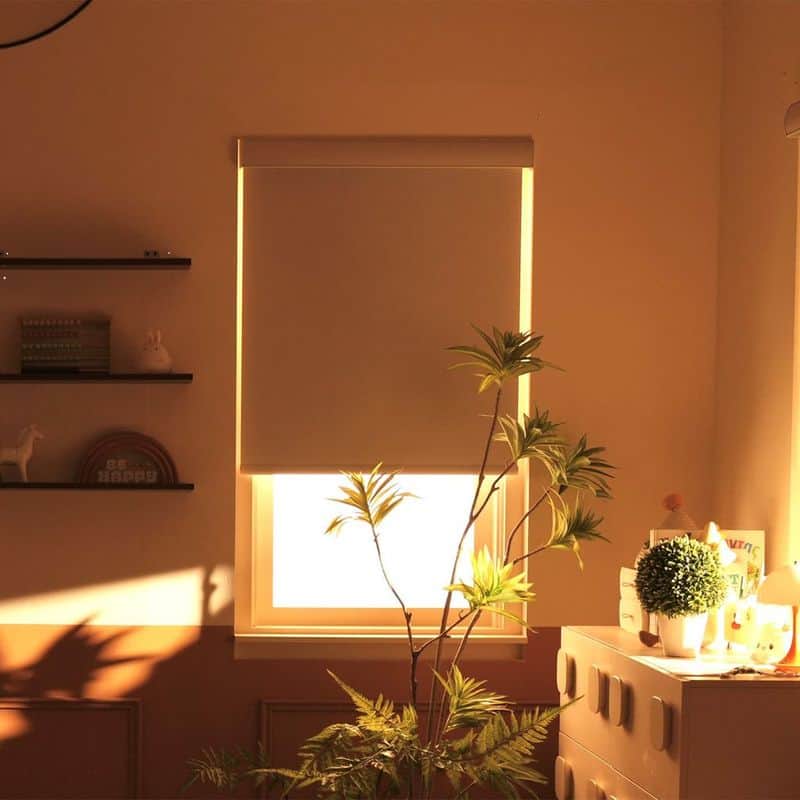 Smart Automated Blinds