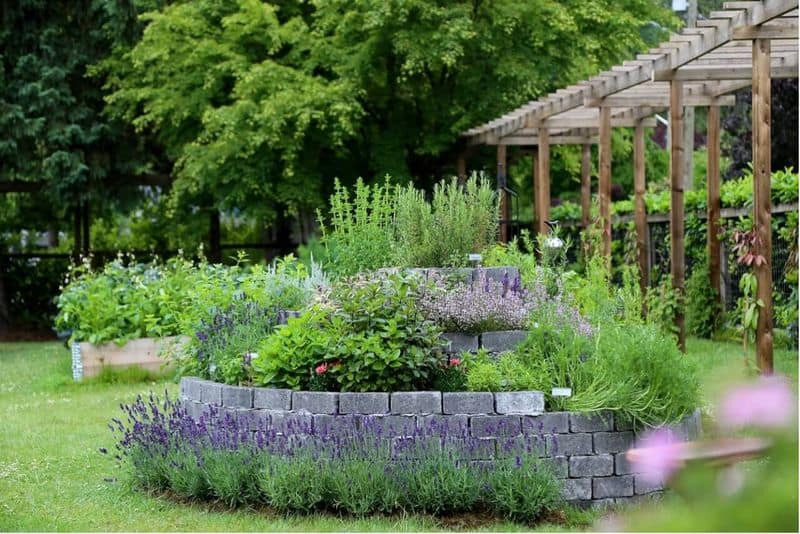 Herb Spiral