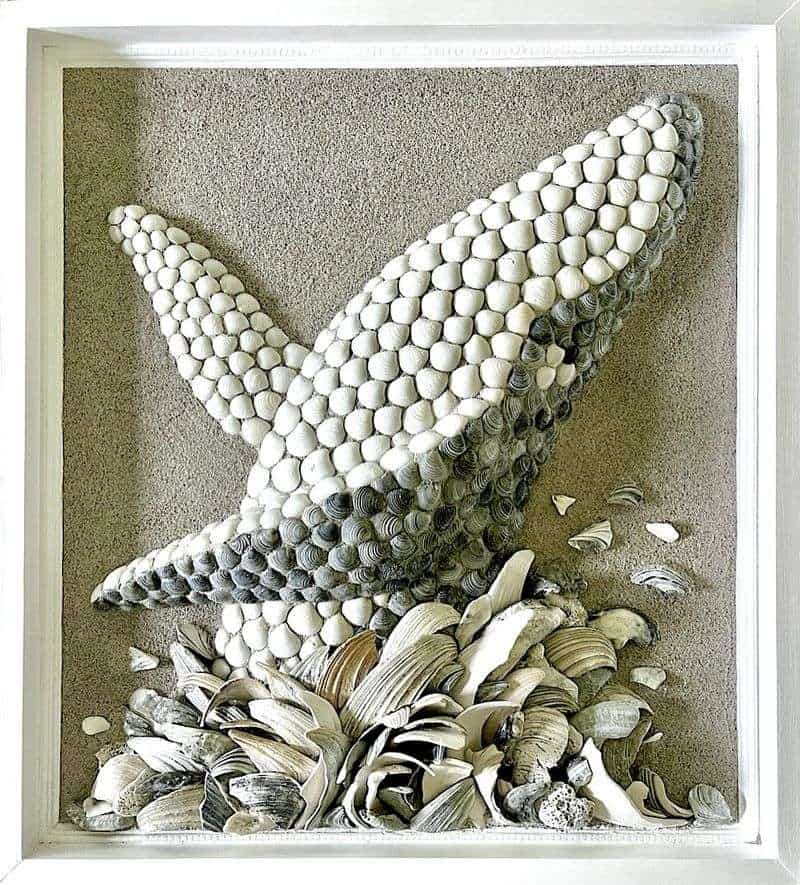 Seashell Wall Art