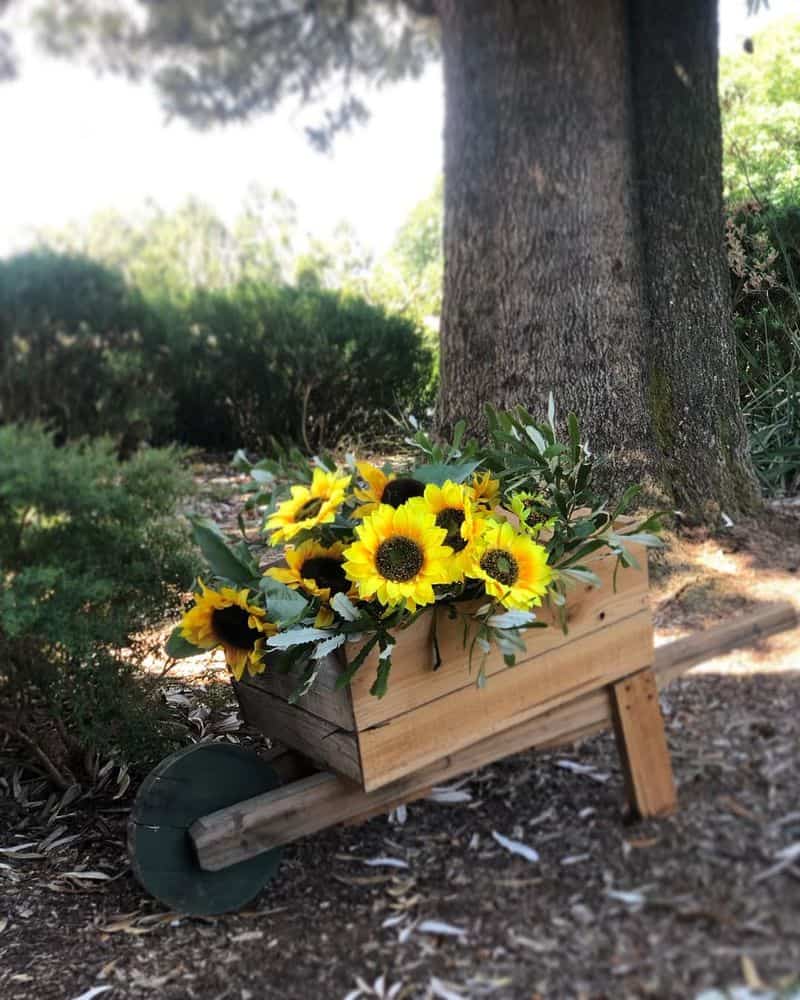 Wheelbarrows