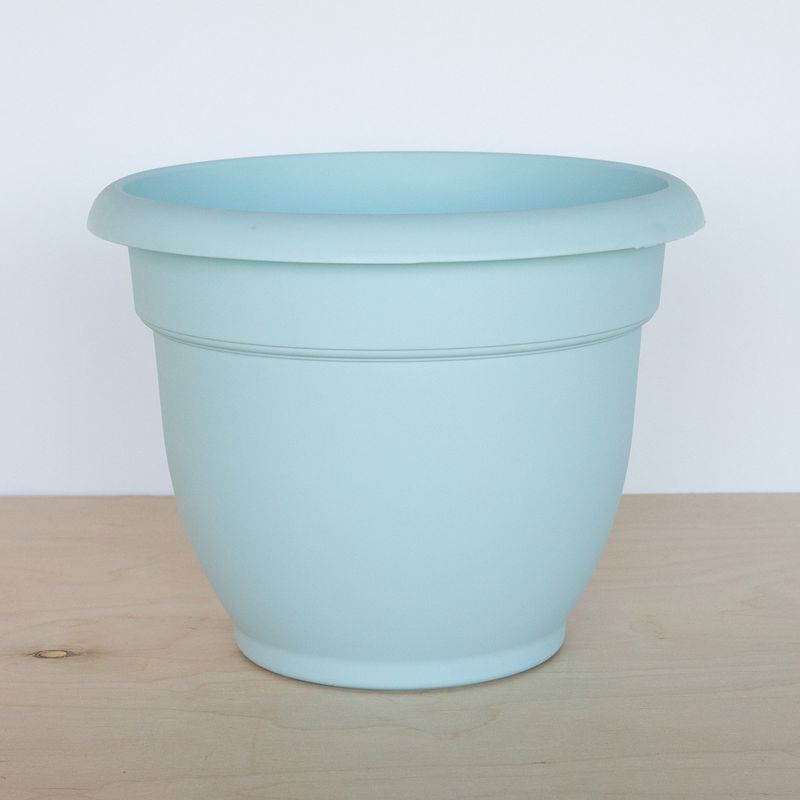 Winston Porter Carmeron Self-Watering Planter