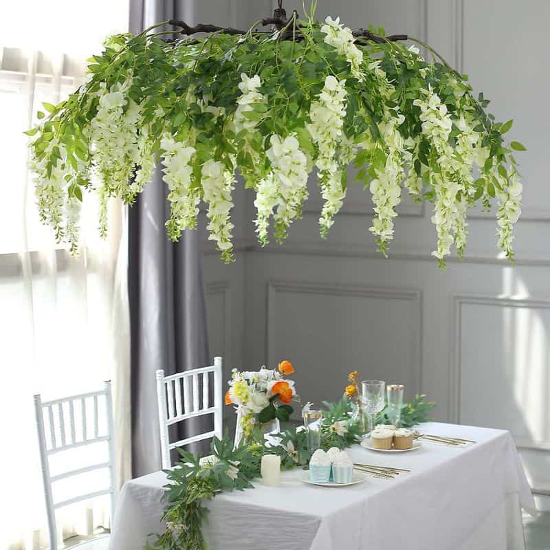 Wisteria Wonder