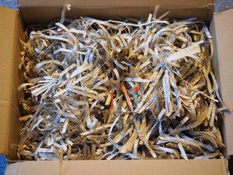 Cardboard