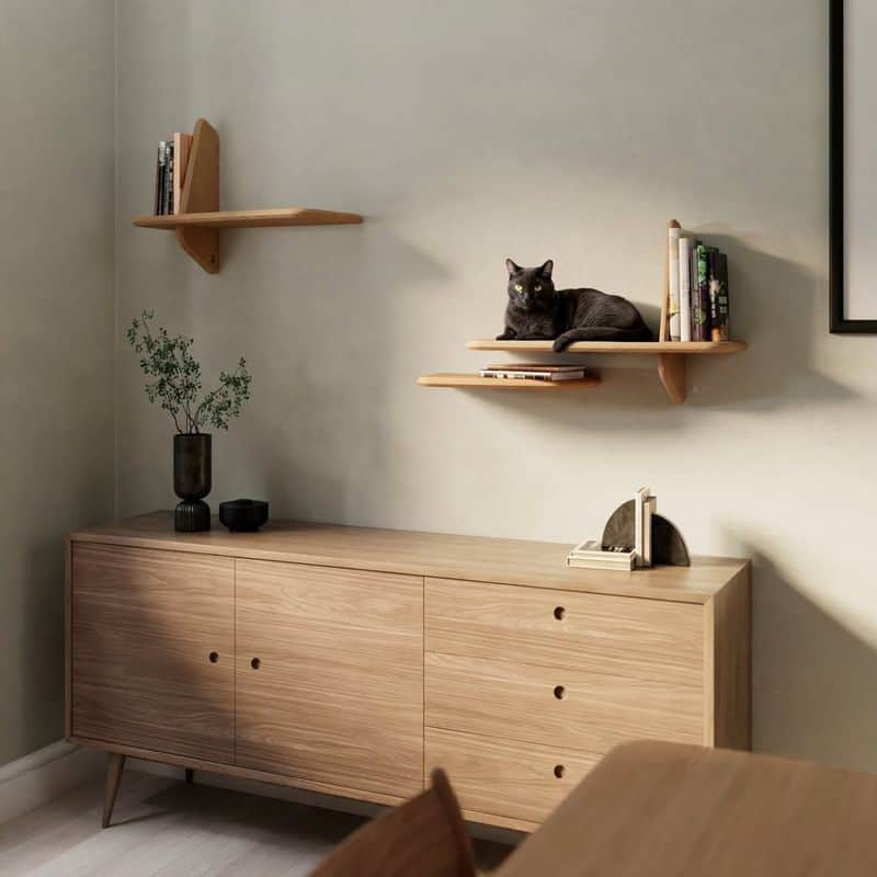 Floating Cat Shelves
