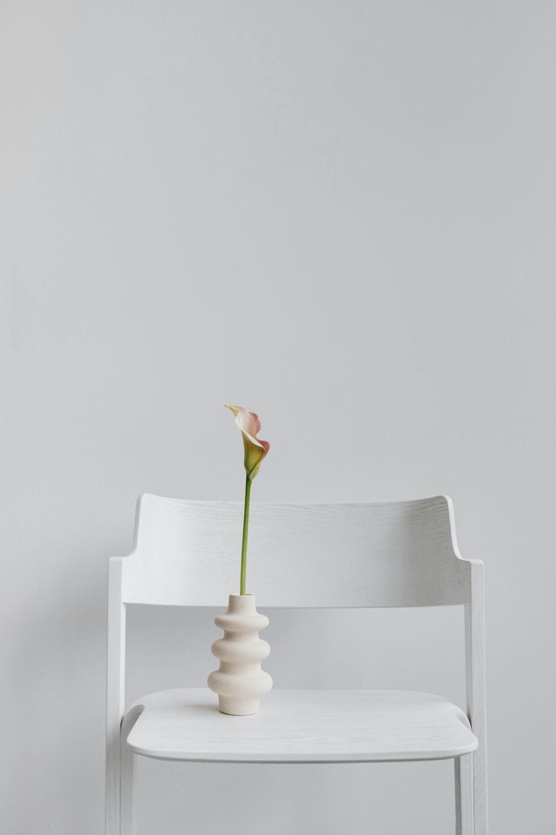 Calla Lily