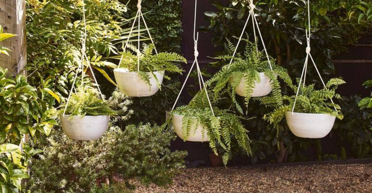 10 Flavorful Herbs That Will Thrive When Growing In Hanging Baskets