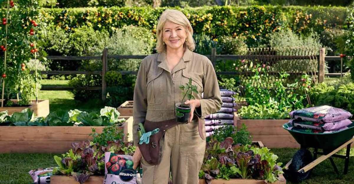 gardening-tricks-martha-stewart