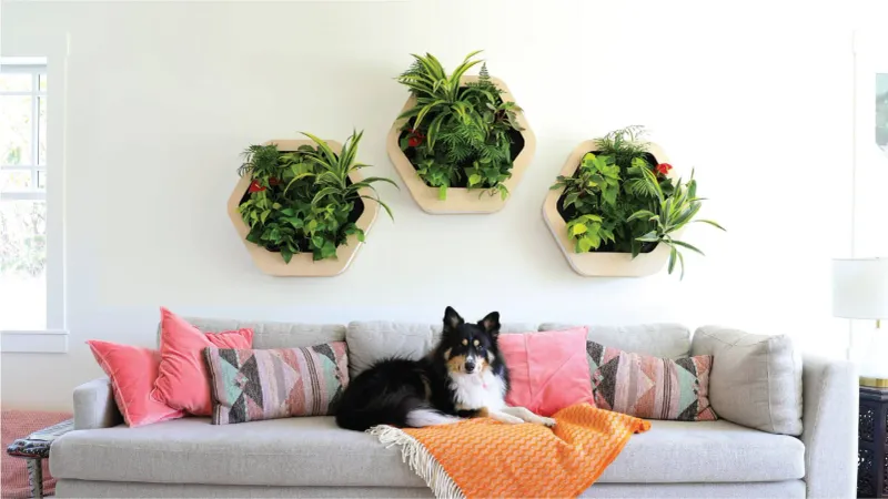 Biophilic Design