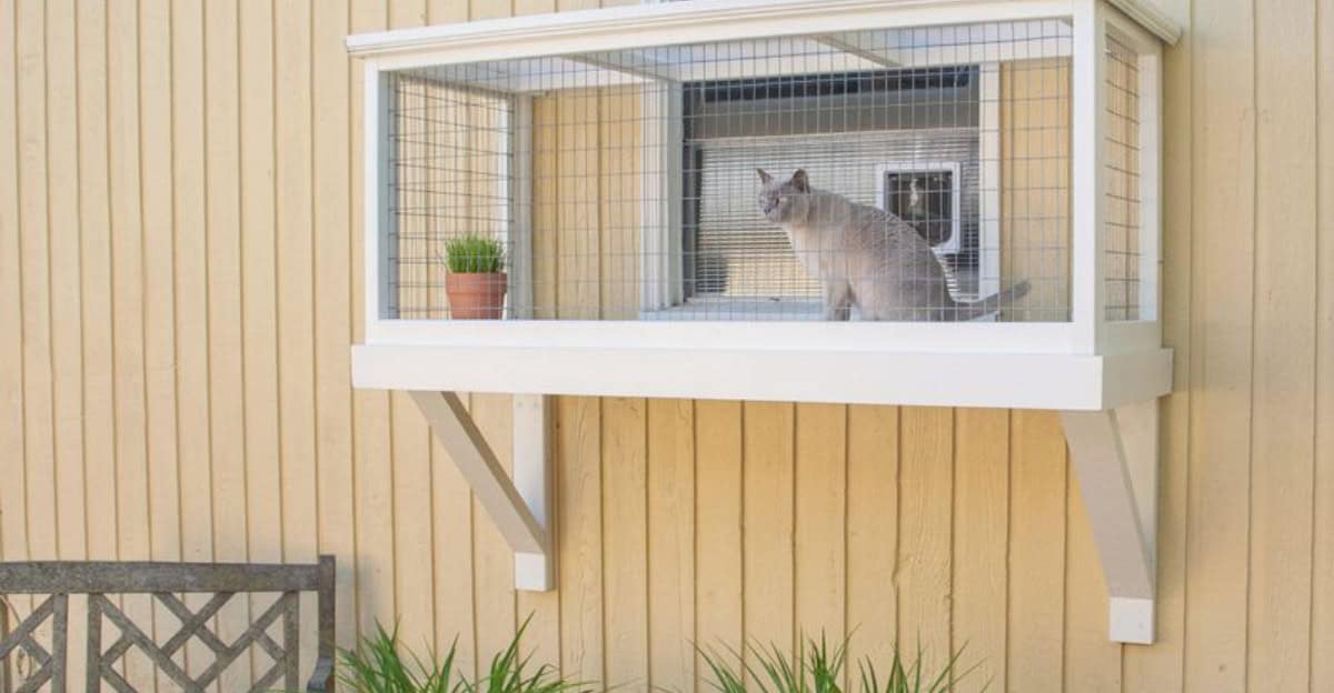catio-indoor-cats