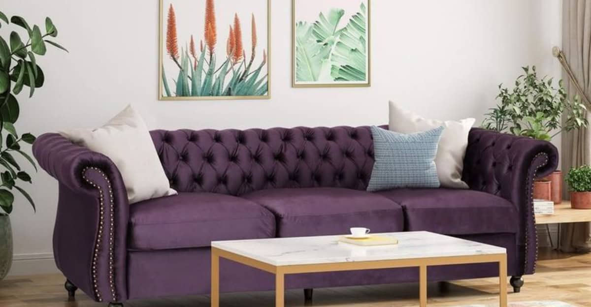 purple-sofa