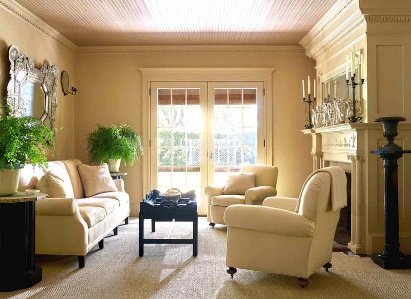 Cheerful Ambiance