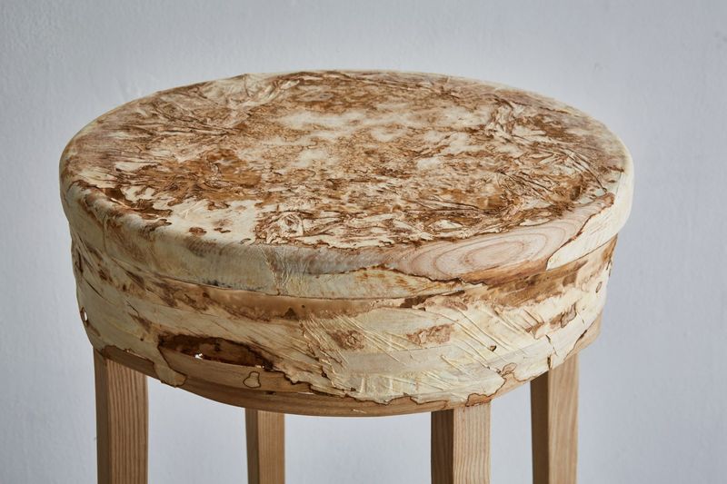 Mushroom Mycelium