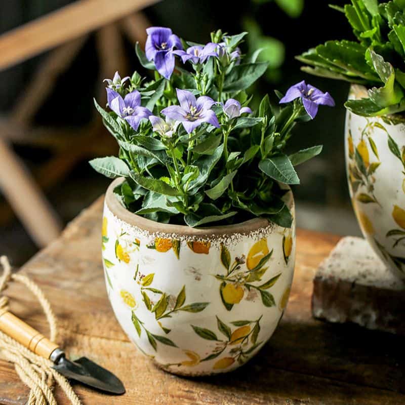 Vintage Ceramic Garden Pots