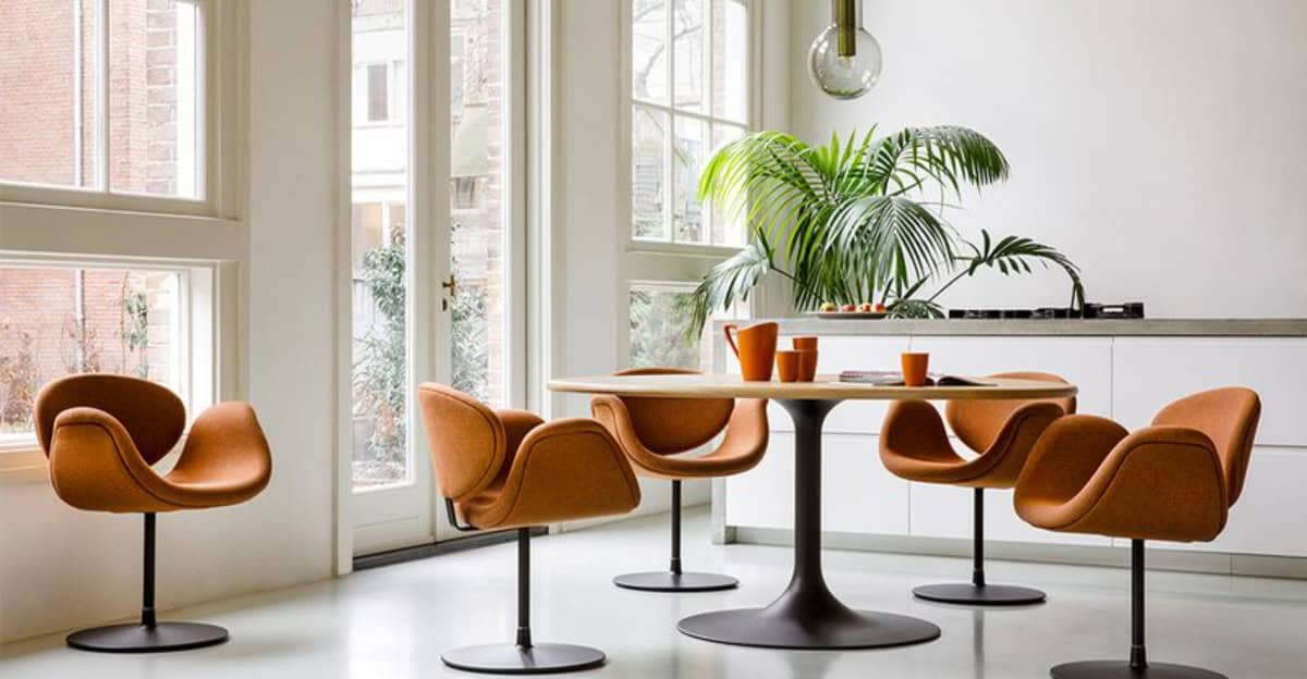 10 Reasons Shell Chairs Are the Perfect Fusion of Art and Comfort