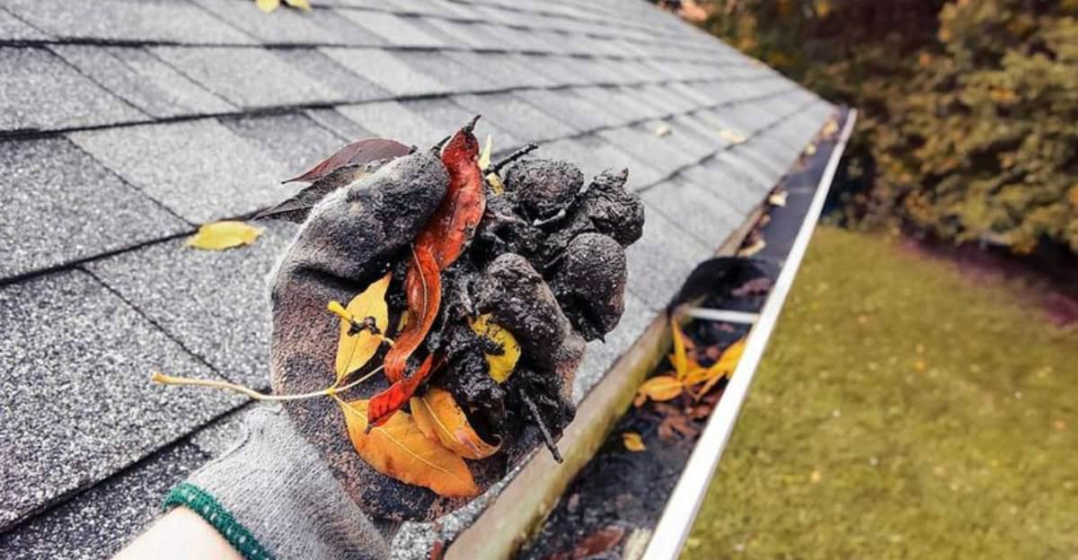 10 Common Home Maintenance Mistakes That Could Cost You a Pretty Penny