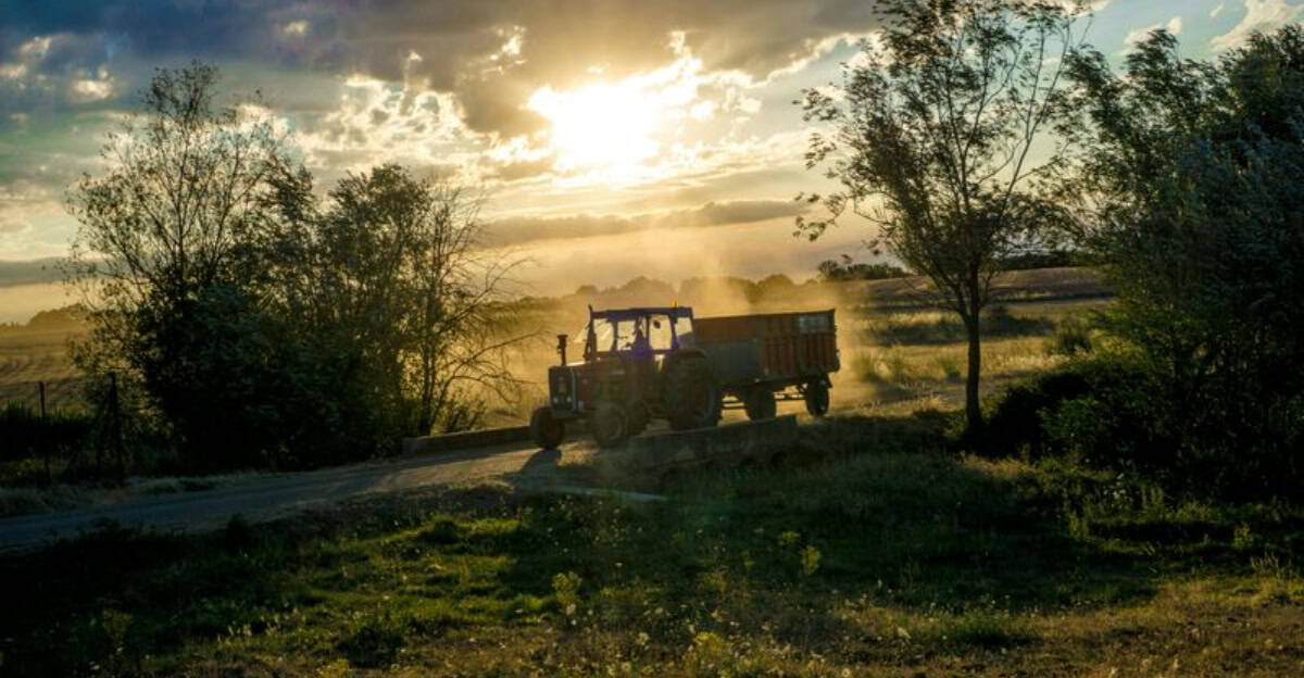 10 Downsides of Living In the Country