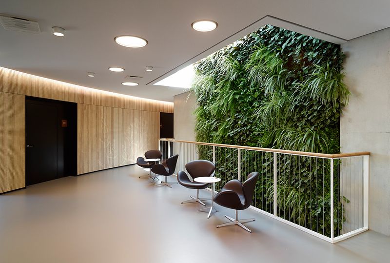 LED Cove Lighting