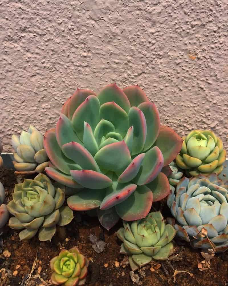 Adjust Watering by Season