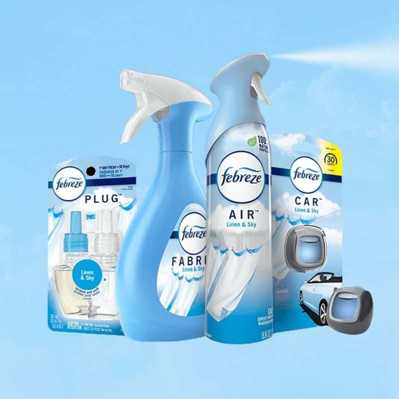 Air Fresheners Eliminate Odors