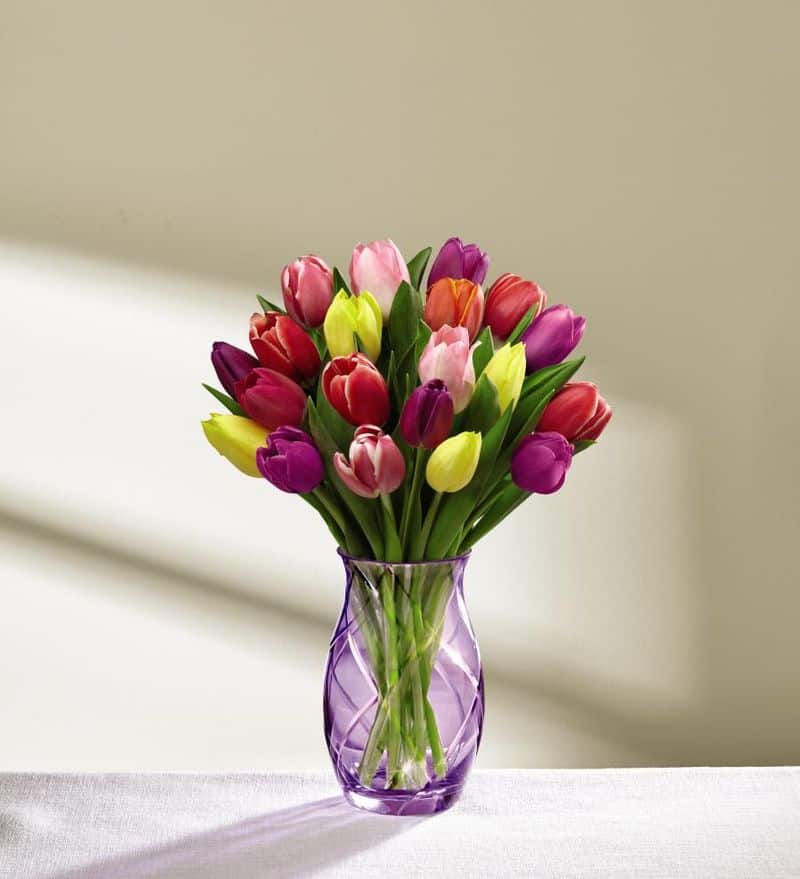 Seasonal Blooms