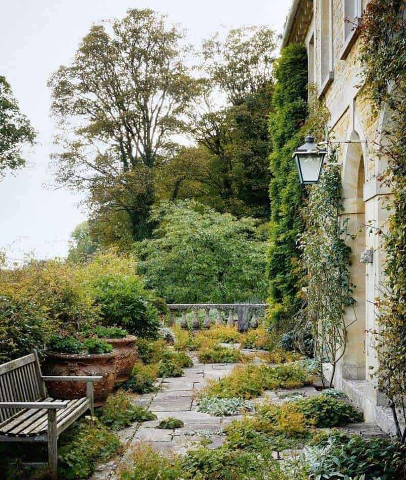 Allow for Self-Seeding and Natural Evolution