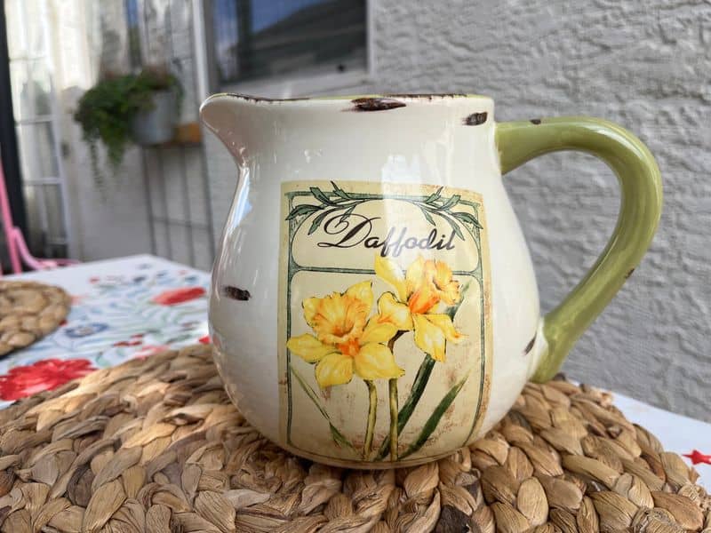 Ceramic Pitchers