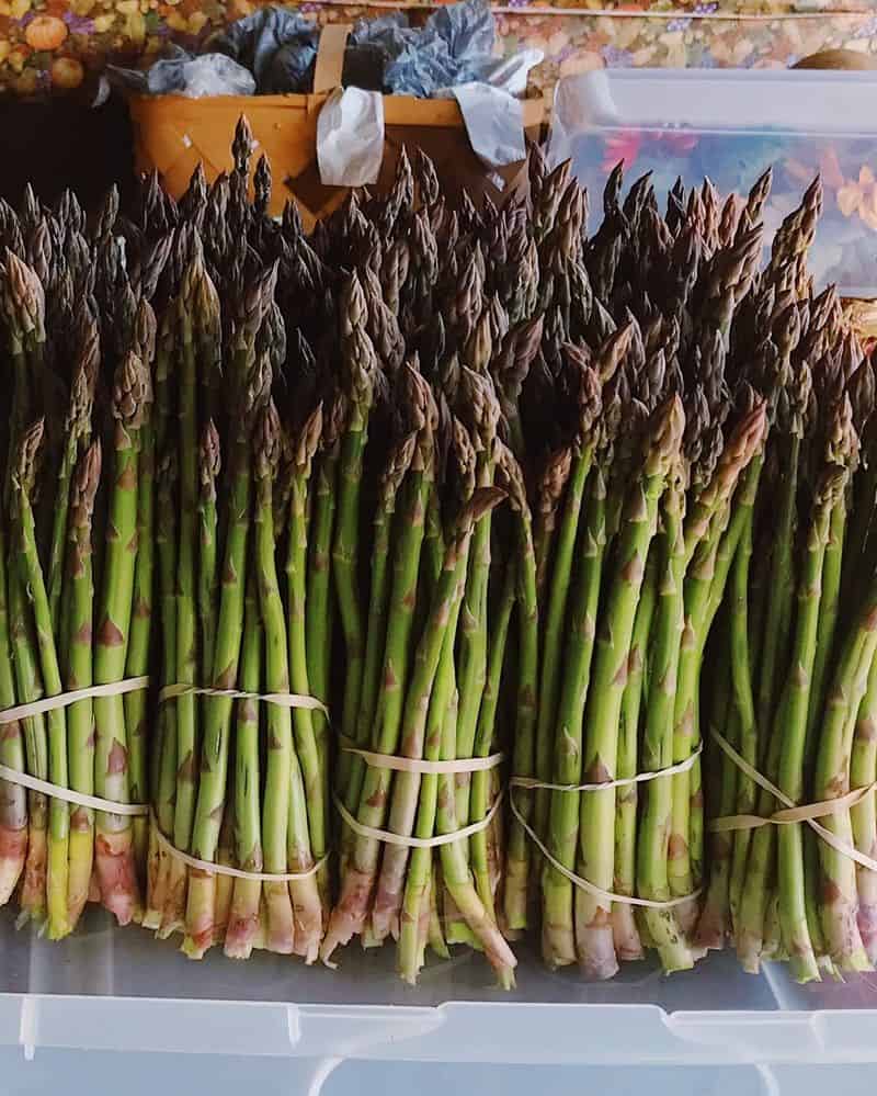 Asparagus