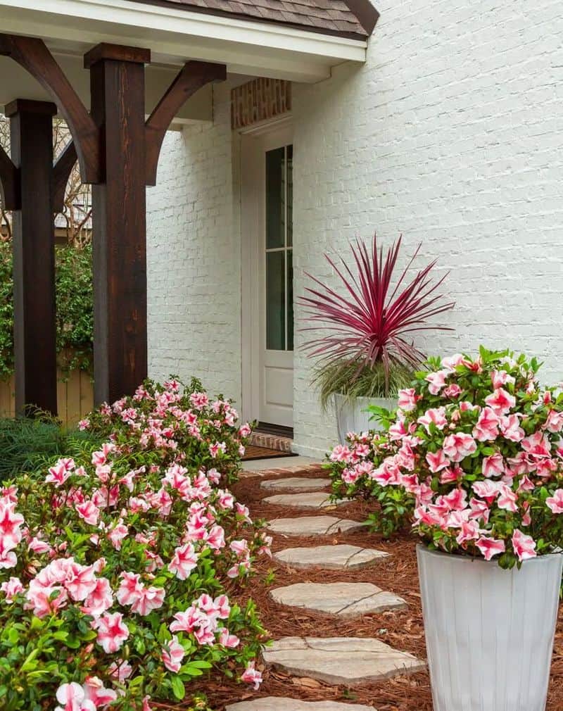 Azalea Container Displays