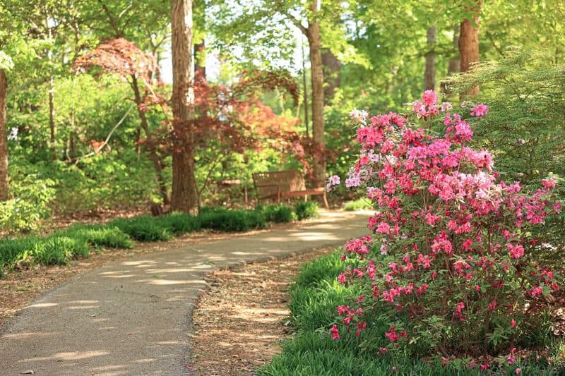 Azalea Garden Pathway