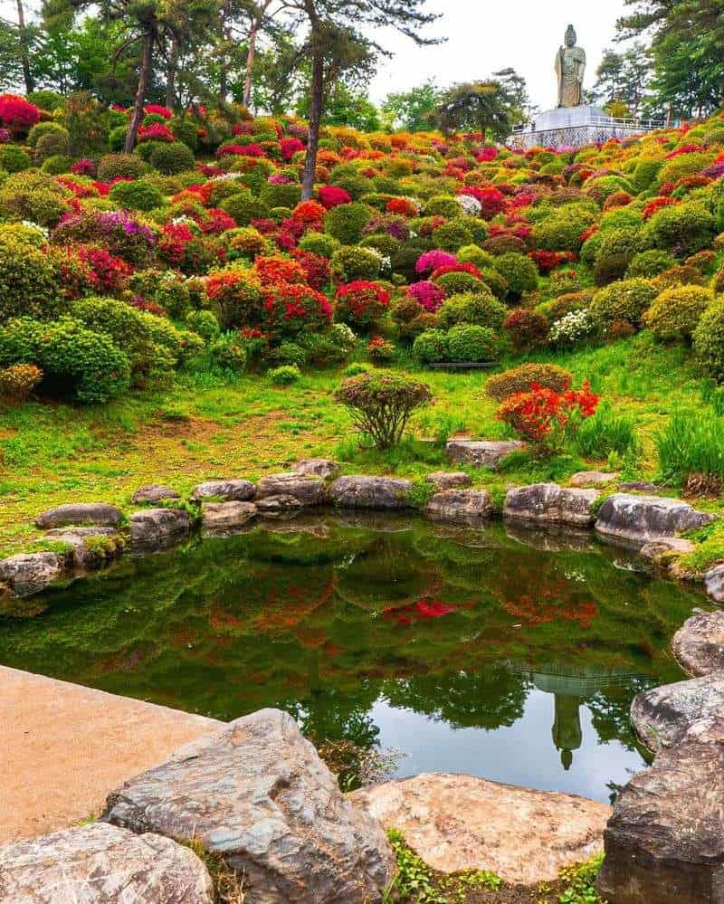 Azalea Rock Garden