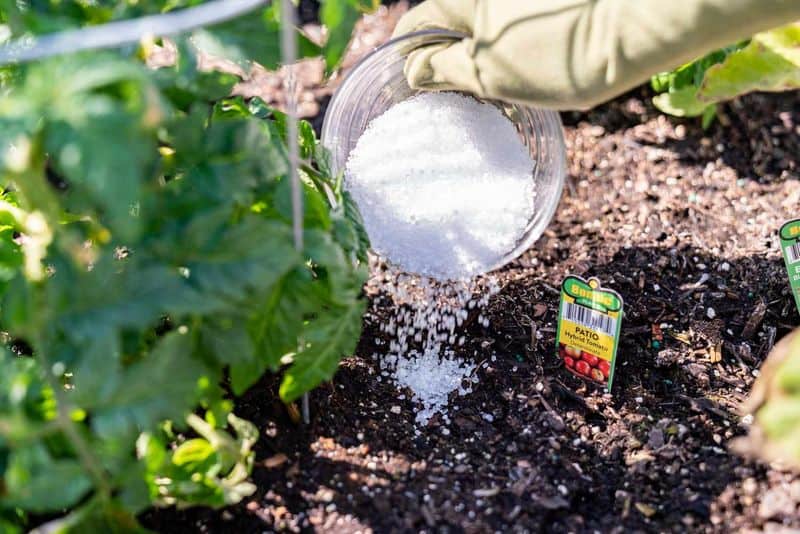 Epsom Salt Plant Booster