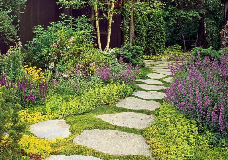 Groundcovers