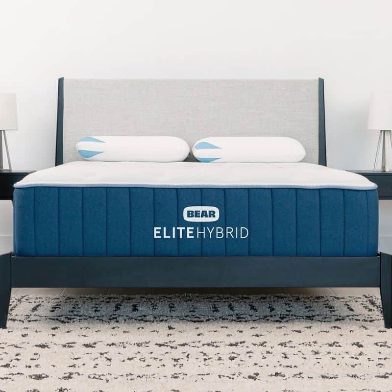 Bear Elite Hybrid
