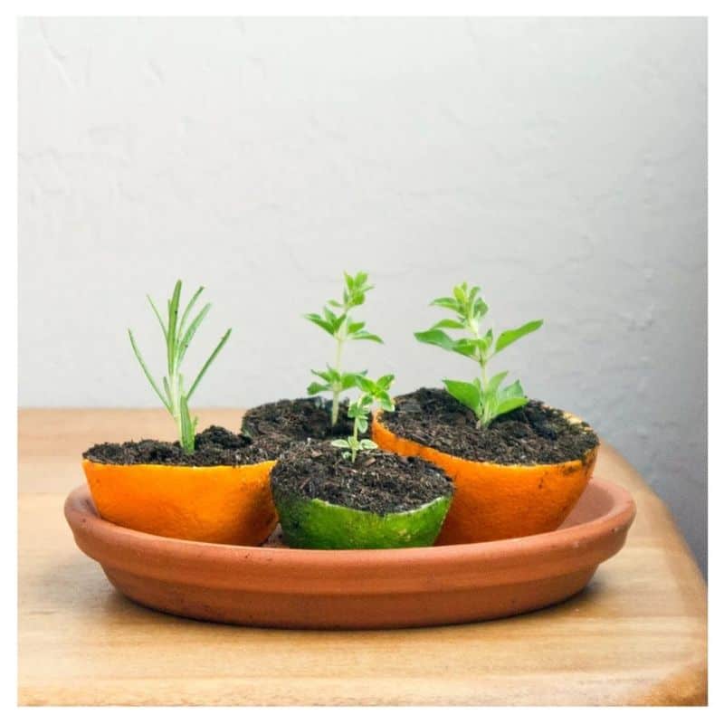 DIY Plant Pot