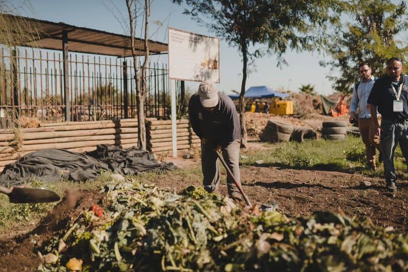 Compost Corner