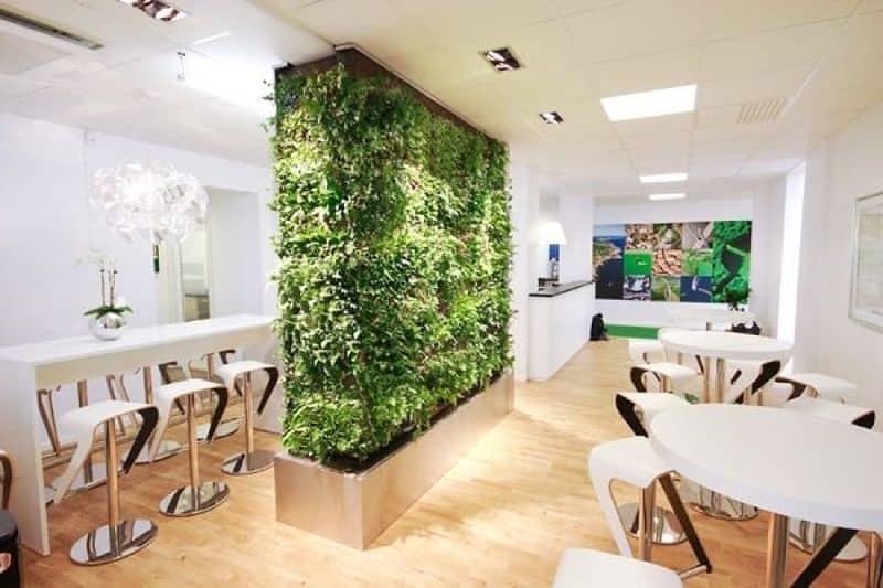 Natural Plant Wall