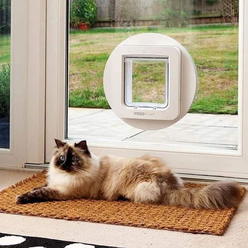 Custom Cat Doors