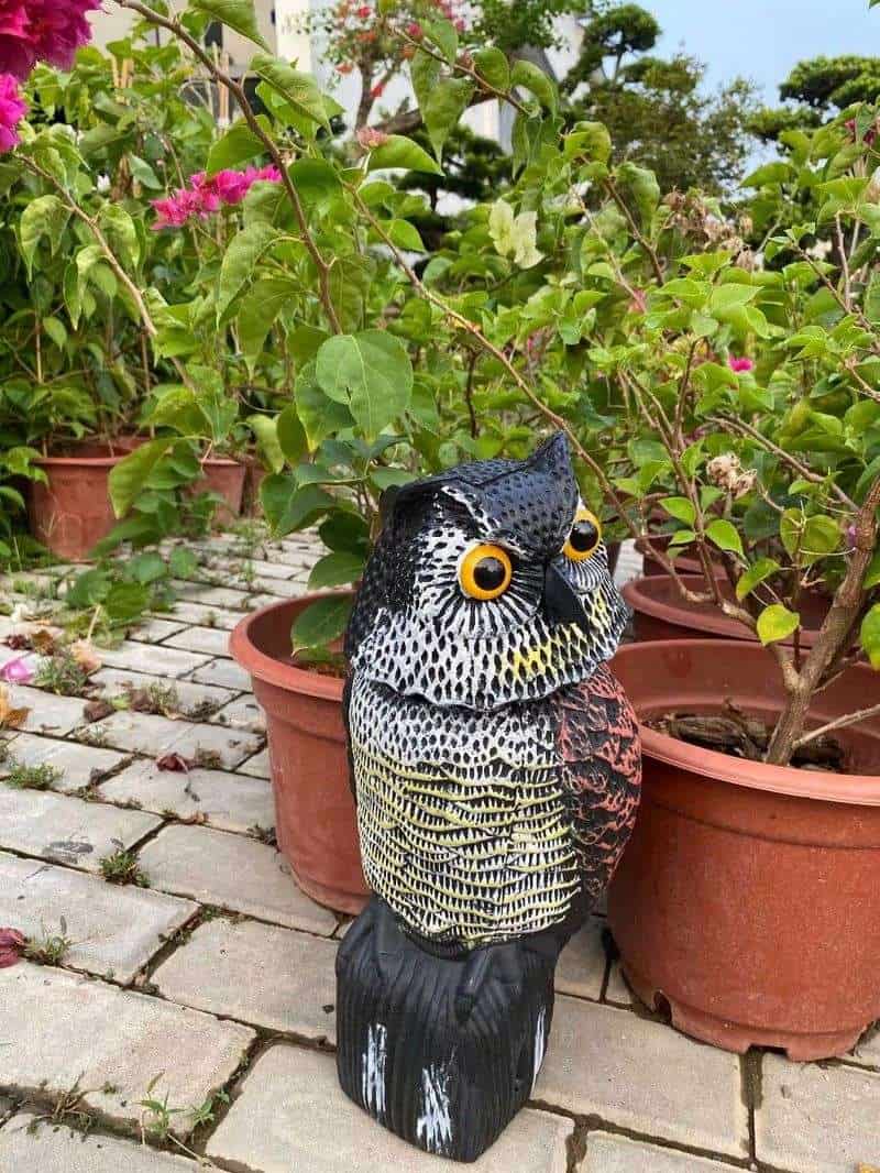 Bird Scarer