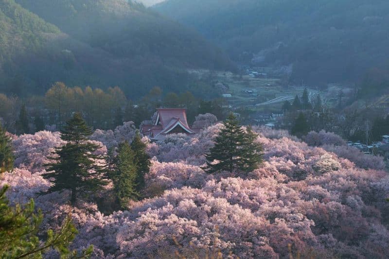 Takato Castle Park