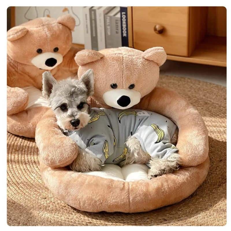 Pet Bed