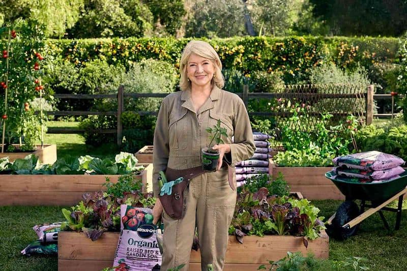 Companion Planting