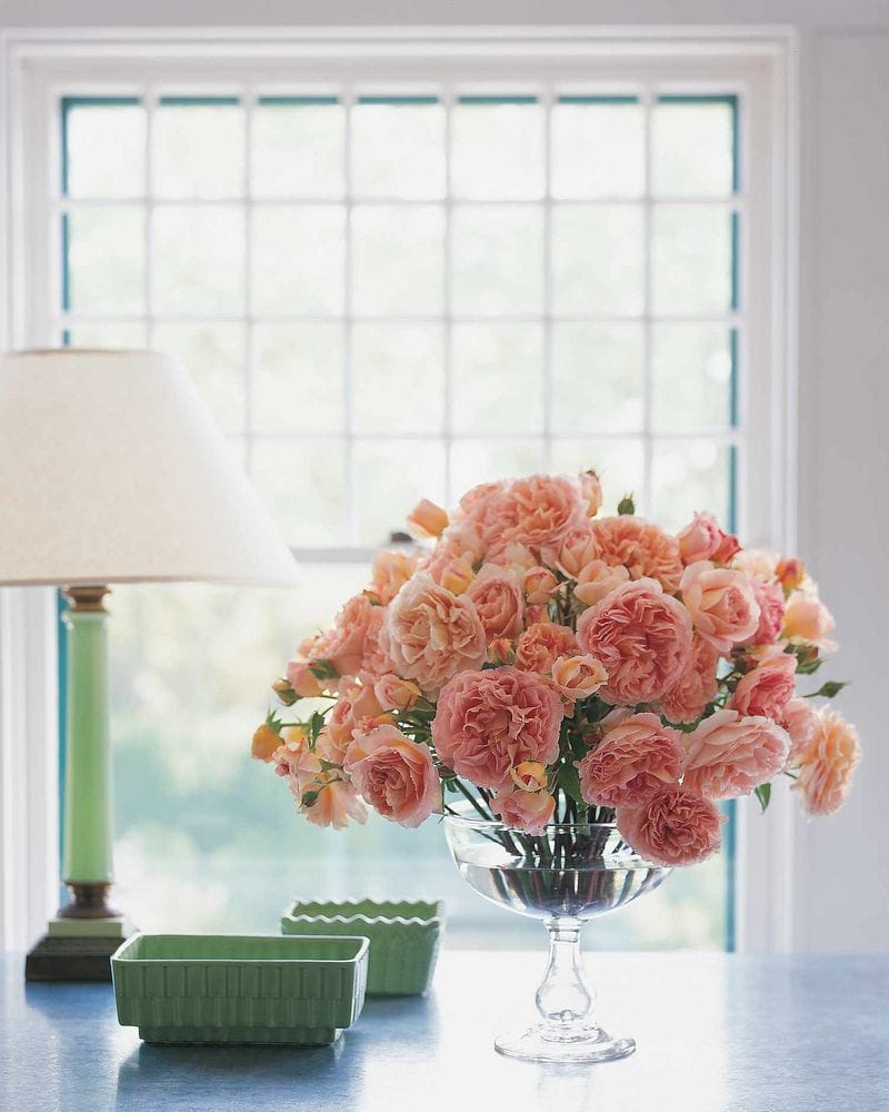 The Perfect Vase