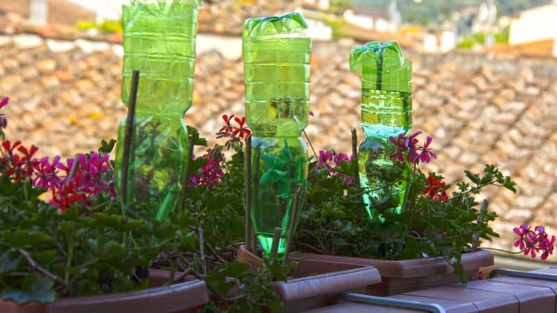DIY Drip Irrigation