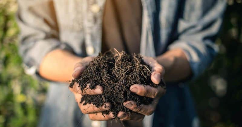 Compost Boost